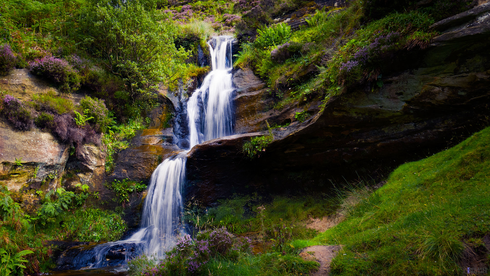 Glen Vale